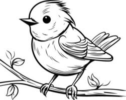 Titmouse on a branch. Black and white illustration. vector