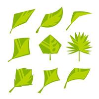 A set of images of leaves in a cute cartoon flat style. vector