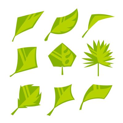 A set of images of leaves in a cute cartoon flat style.