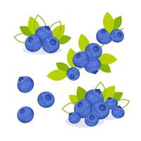 A set of images of blueberries with leaves in a cute cartoon flat style. vector