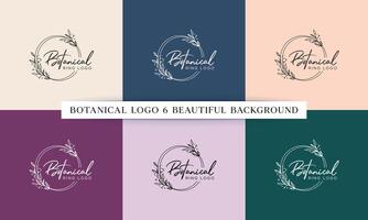 Botanical Floral Element Logo with Hand-drawn floral frames vector