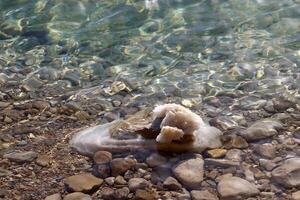 The Dead Sea is a closed, endorheic body of water in the Middle East between Israel and Jordan. photo