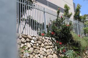 Green plants and flowers grow along a fence in a city park. photo