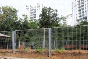 Green plants and flowers grow along a fence in a city park. photo