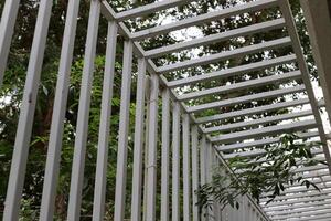 Green plants and flowers grow along a fence in a city park. photo