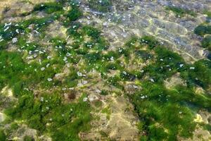 The color of water in the Mediterranean Sea in shallow water. Natural abstract background. photo