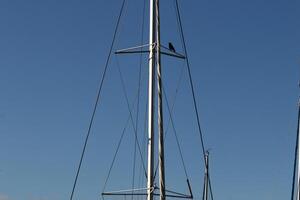 Masts in the port against the blue sky. photo