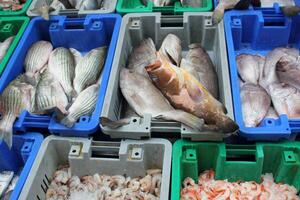 Seafood is sold at a bazaar in Israel. photo