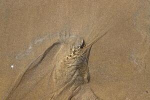 Sandy beach on the shores of the Mediterranean Sea in northern Israel. photo