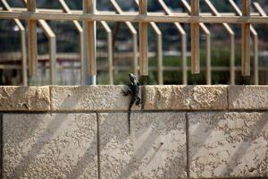 Fence in a city park in Israel. photo