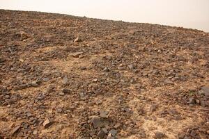 piedras en un ciudad parque en el costas de el Mediterráneo mar. foto