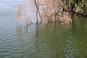 Lake Kinneret. The lake's coastline is the lowest landmass on Earth photo