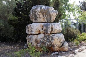 Stones in a city park on the shores of the Mediterranean Sea. photo