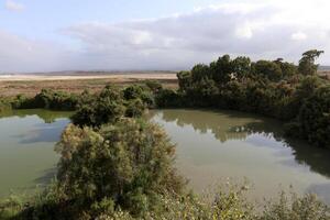 Ein Afek Nature Reserve in northern Israel. Wetland with an abundance of animals and accessible trails photo