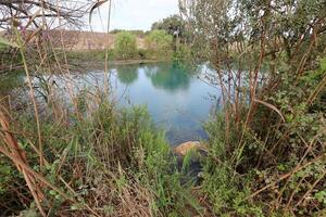 Ein Afek Nature Reserve in northern Israel. Wetland with an abundance of animals and accessible trails photo