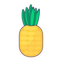 Tropical Exotic Fruit Pineapple Juicy Ripe Ananas vector