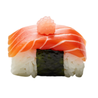 cru salmão nigiri Claro fundo Sushi rolos png