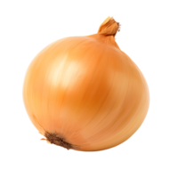 Onion Bulb Detail Clear Background Image png