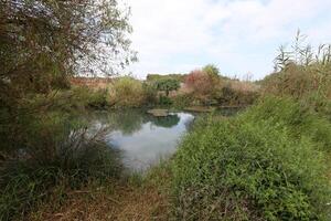 Ein Afek Nature Reserve in northern Israel. Wetland with an abundance of animals and accessible trails photo