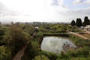 Ein Afek Nature Reserve in northern Israel. Wetland with an abundance of animals and accessible trails photo