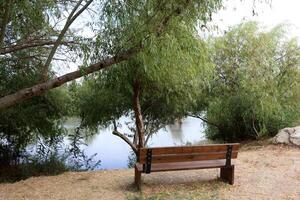 Ein Afek Nature Reserve in northern Israel. Wetland with an abundance of animals and accessible trails photo