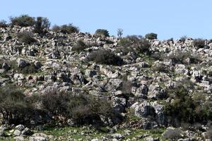 piedras en un ciudad parque en el costas de el Mediterráneo mar. foto