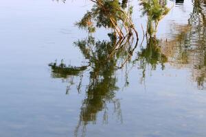 Lake Kinneret. The lake's coastline is the lowest landmass on Earth photo