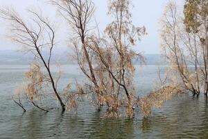 Lake Kinneret. The lake's coastline is the lowest landmass on Earth photo