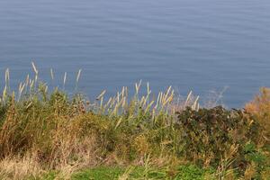 Lake Kinneret. The lake's coastline is the lowest landmass on Earth photo