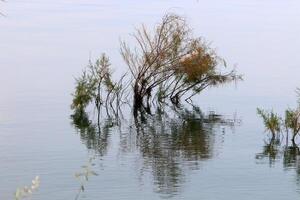 lago cineret. el del lago línea costera es el más bajo masa de tierra en tierra foto
