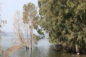 Lake Kinneret. The lake's coastline is the lowest landmass on Earth photo