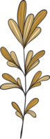 rustic leaf autumn floral png