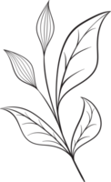 rustikal Blatt Ornament Blumen- png