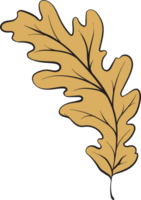 rustic leaf autumn floral png