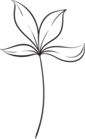 rustiek blad ornament bloemen png