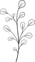 rustiek blad ornament bloemen png