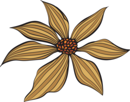 rustikal Blatt Herbst Blumen- png