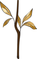 rustic leaf autumn floral png