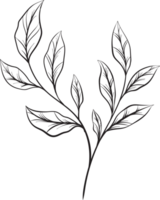 rustikal Blatt Ornament Blumen- png