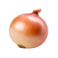 Farm Fresh Onion Isolated with No Background png