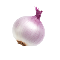 Freshness Unveiled Clear Background Onion Photo png