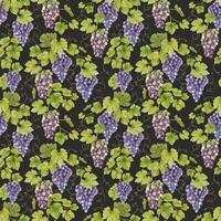 A bunch of red grapes, vines with leaves. Watercolor seamless pattern on a dark background. For fabric, packaging paper, scrapbooking, product packaging design vector