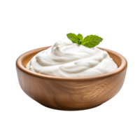 Smooth and Savory Bowl with White Mayonnaise Dip png