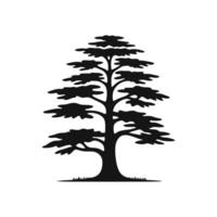 Abstract cedar tree silhouette icon logo symbol illustration vector