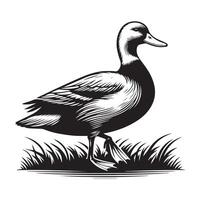 Duck Silhouette flat illustration. vector