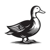 Duck Silhouette flat illustration. vector