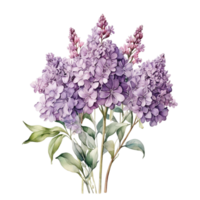 vattenfärg blomma bukett, skön blomma design png