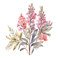 vattenfärg blomma bukett, skön blomma design png