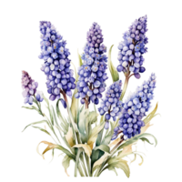 aquarelle fleur bouquet, magnifique fleur conception png