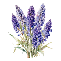 vattenfärg blomma bukett, skön blomma design png